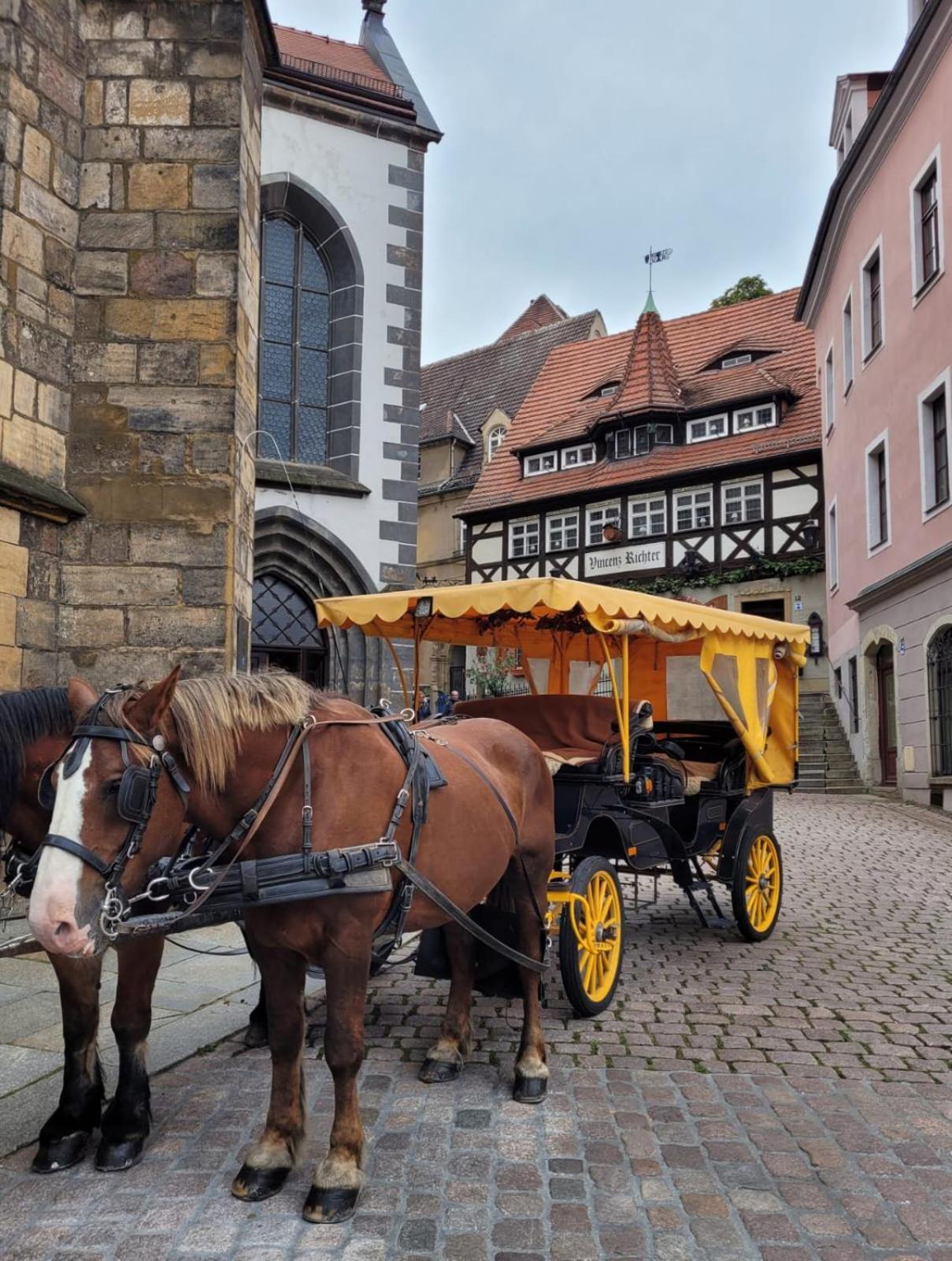 Cosel Apartment Altstadt Radfahrer Balkon Meißen الغرفة الصورة